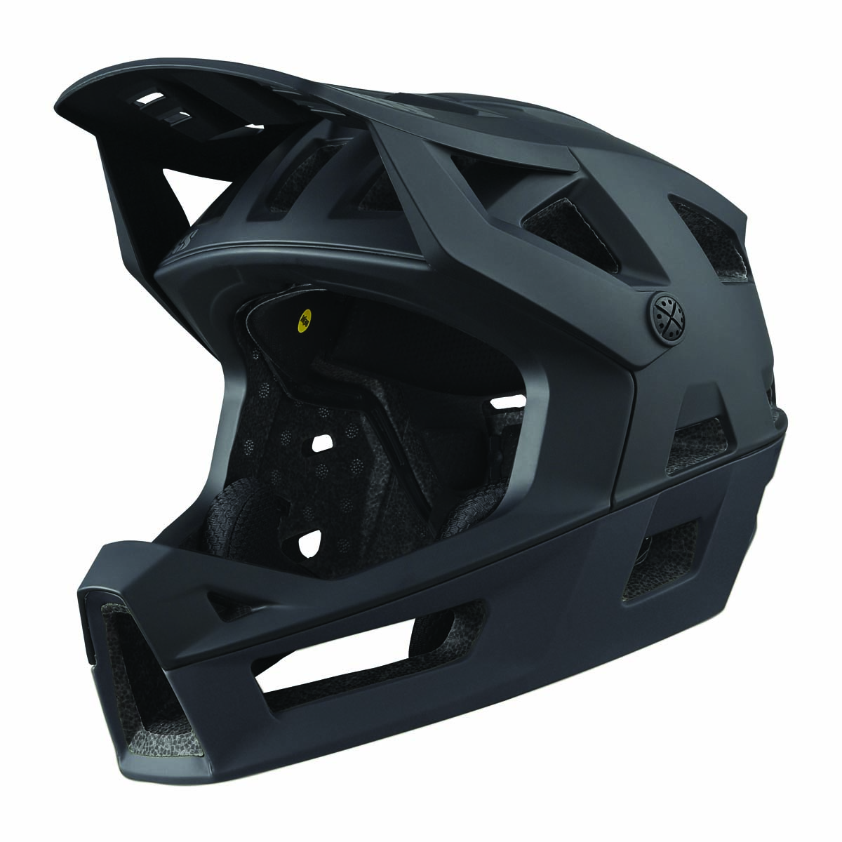 IXS Trigger FF Mips